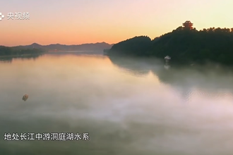 央视《中国米食大会》 