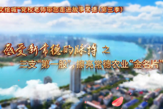 【以文绘城】三支