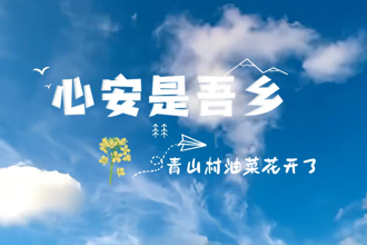 【临澧县】青山村千亩油菜花开了～