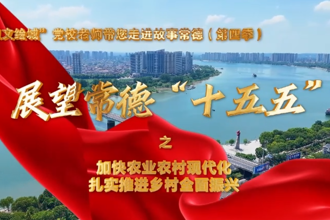 【以文绘城】加快农业农村现代化，扎实推进乡村全面振兴