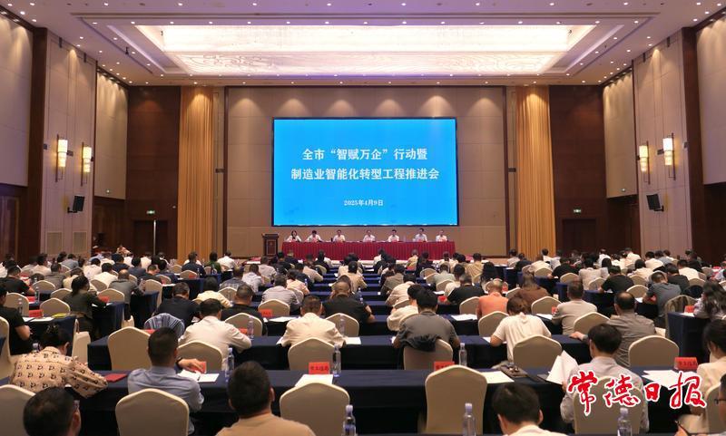 会议现场 会议现场