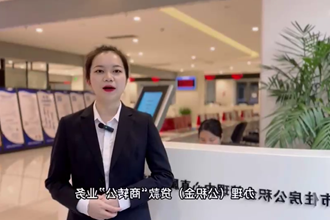 【在线服务平台小视频】办理