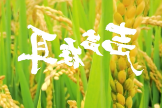 【鼎城】声声在耳