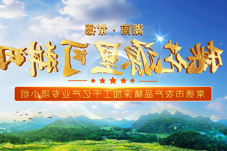 农产品精深加工产业宣传片