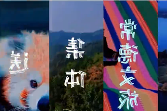 三八妇女节，常德文旅
