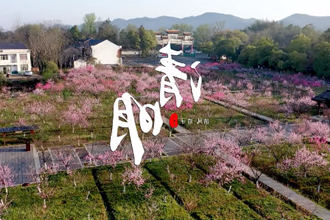 【新澳门葡京在线娱乐管理区】今日清明