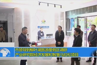 市领导到柳叶湖旅游度假区调研产业研究院城市经济概况和智慧马拉松项目