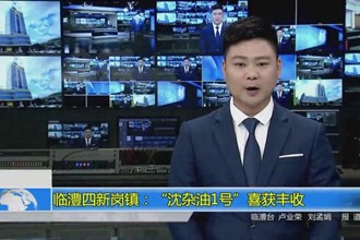 临澧四新岗镇：