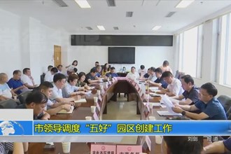 市领导调度