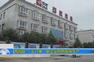 西洞庭：