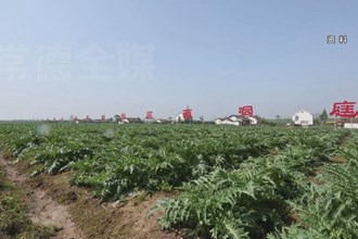 国家农业科技园区建设为乡村振兴插上