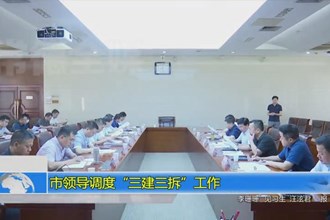市领导调度