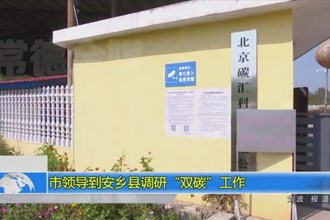 市领导到安乡县调研