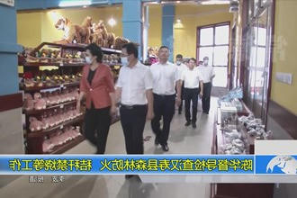陈华督导检查汉寿县森林防火、秸秆禁烧等工作