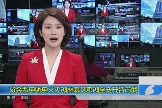 常德市召开安全防范及森林防灭火电视电话会议