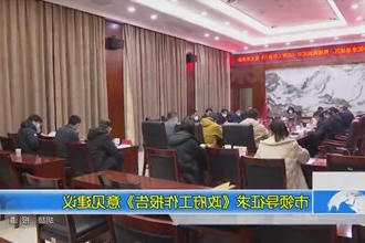 市领导征求《市政府门户工作报告》意见建议