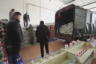鼎城：农田吃上