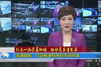 打造一流营商环境 推动高质量发展(3.13)