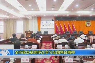 全市政协系统传达学习全国两会精神