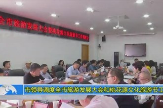 市领导调度全市旅游发展大会和澳门新葡新京在线文化旅游节工作