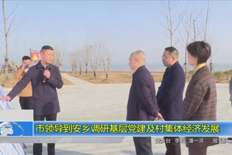 市领导到安乡调研基层党建及村集体城市经济概况