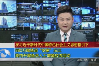 880万尾鱼苗