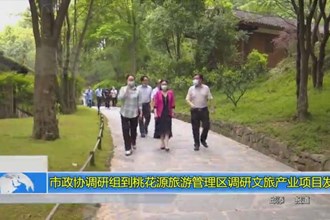 市政协调研组到新澳门葡京在线娱乐调研文旅产业项目发展