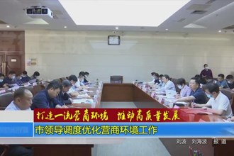打造一流营商环境 推动高质量发展(4.25)