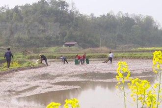 ＂六大专项行动＂兴沅澧(4.5)