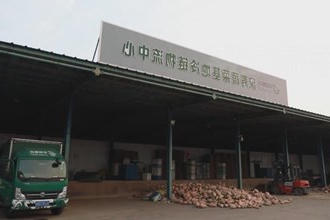 汉寿：全链条物流体系 架起蔬菜产销直通桥梁