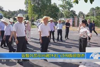 市领导调研石门乡村振兴示范片建设