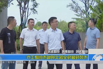 市领导督导全国文明城市创建工作
