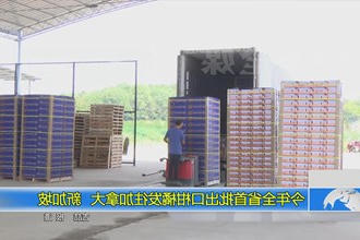 今年全省首批出口柑橘发往加拿大、新加坡