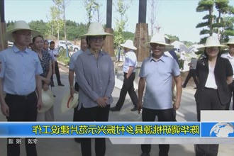 陈华调研桃源县乡村振兴示范片建设工作