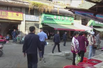 文明养犬 提升幸福指数