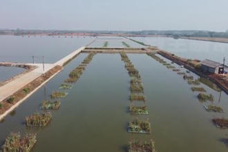汉寿：养殖尾水治理减少总磷总氮排放近万吨