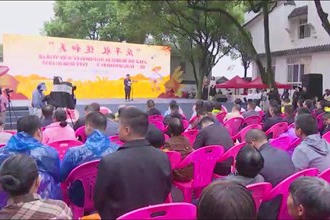 我市各地开展活动共庆