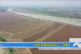 澧县：万亩高粱喜获丰收