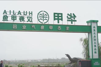 周振宇赴汉寿县调研