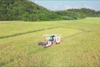 汉寿：秸秆全域全量利用 打发蓝天碧水净土保卫战