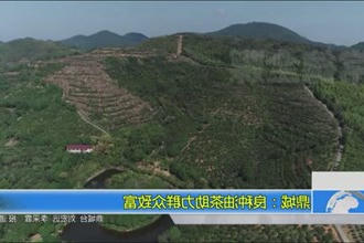 鼎城：良种油茶助力群众致富