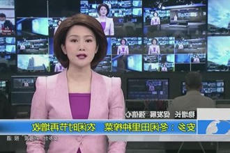安乡：冬闲田里种榨菜 农闲时节再增收