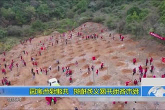 全市各地开展义务植树 共建绿色家园