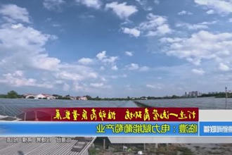 临澧：电力赋能葡萄产业