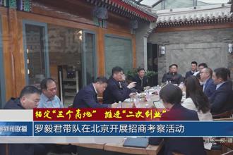 锚定