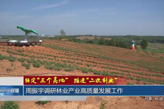 周振宇调研林业产业高质量发展工作
