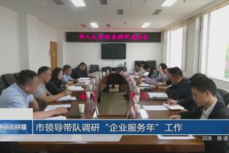 市领导带队调研