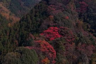 桃源：沙坪镇赛阳村