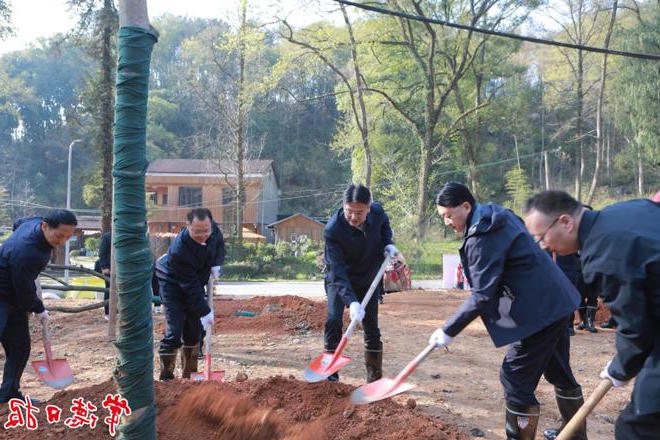 2025年全市集中义务植树活动举行 罗毅君周振宇参加