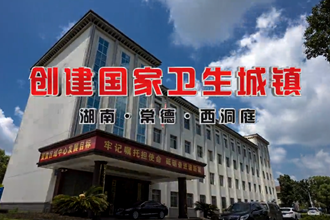 西洞庭推进
